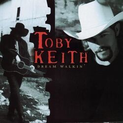 I Don't Understand My Girlfriend Chords by Toby Keith