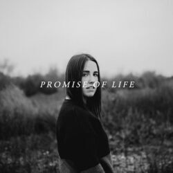 Promise Of Life Chords by Kelsey Breedlove