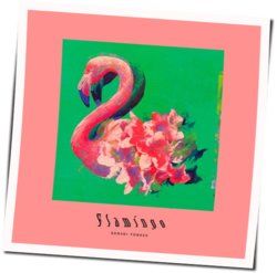 Flamingo Chords by Kenshi Yonezu (米津 玄師)
