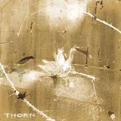Thorn Chords by Keo