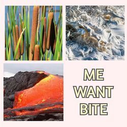 Me Want Bite Tab by Keyes
