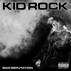 The Nashville I Know Chords by Kid Rock