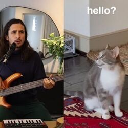 Sometimes I'm Alone Chords by The Kiffness X Lonely Cat