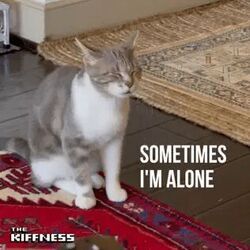 Sometimes I'm Alone by The Kiffness