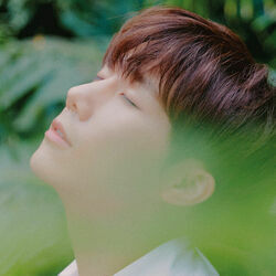 안개fog Chords by Kim Sung Kyu