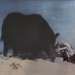 Deserted Dunes Welcome Weary Feet Bass Tab by King Gizzard & The Lizard Wizard