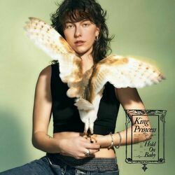 Change The Locks Chords by King Princess