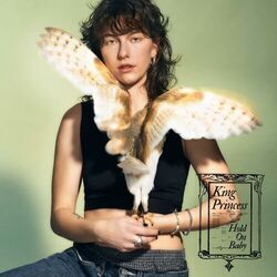 Sex Shop Chords by King Princess