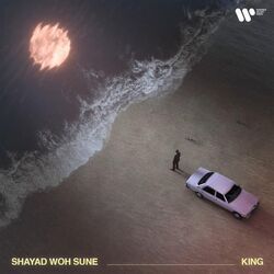 Teri Ho Na Saki Chords by King
