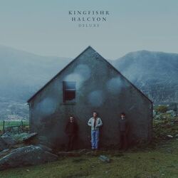 The Rose Chords by Kingfishr