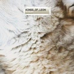 Revelry  Bass tabs by Kings Of Leon