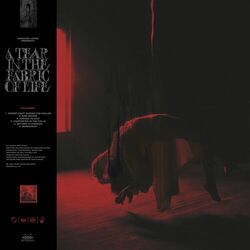 Forced To Stay Tab by Knocked Loose