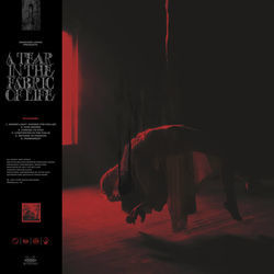 Permanent Tab by Knocked Loose