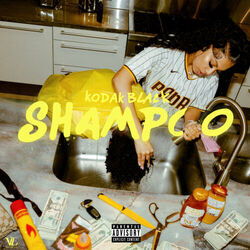 Shampoo Chords by Kodak Black