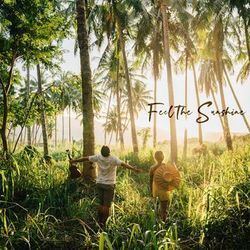 Feel The Sunshine Ukulele Chords by Kolohe Kai