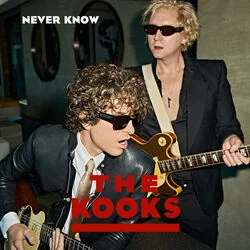 Never Know Chords by The Kooks