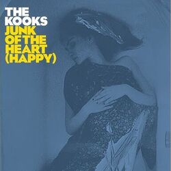 Stormy Weather Bass Tab by The Kooks