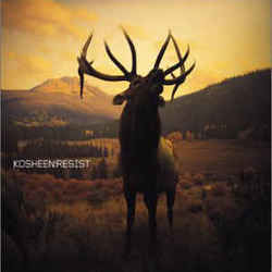 Face In A Crowd Chords by Kosheen