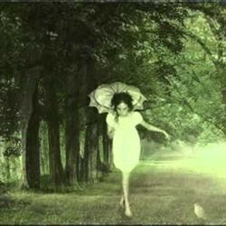 Ksenija Erker chords for Proljeće bez tebe