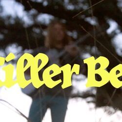 Killer Bee Chords by Ben Kweller