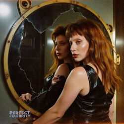 Perfect Celebrity Chords by Lady Gaga