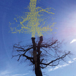 Une Autre Attente Chords by Laetitia Sadier