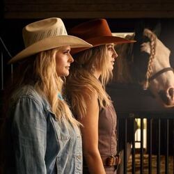 Good Horses Chords by Lainey Wilson