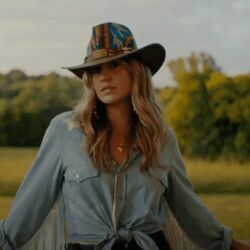 Hillbilly Hippie Chords by Lainey Wilson