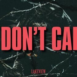 I Don't Call Chords by Lakeview