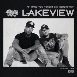 In Case You Forgot My Hometown by Lakeview