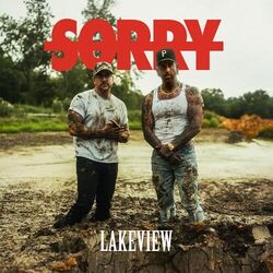 Sorry Chords by Lakeview
