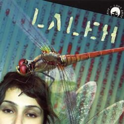 Der Yek Gosche Chords by Laleh