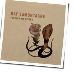 Forever My Friend by Ray Lamontagne
