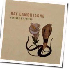 Forever My Friend Chords by Ray Lamontagne