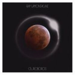 Homecoming Chords by Ray Lamontagne