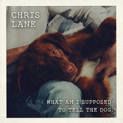 What Am I Supposed To Tell The Dog Chords by Chris Lane