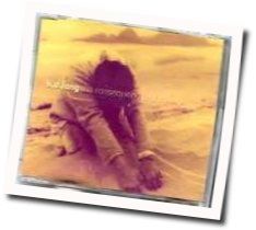 The Consequences Of Falling Chords by Kd Lang