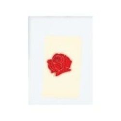 Dumb Stuff Ukulele Chords by LANY