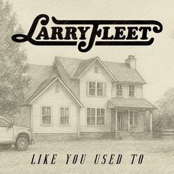 Like You Used To Chords by Larry Fleet