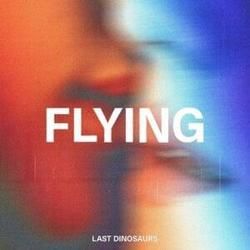 Flying Tab by Last Dinosaurs