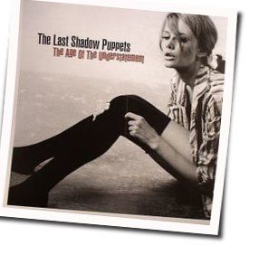 Calm Like You Chords by The Last Shadow Puppets