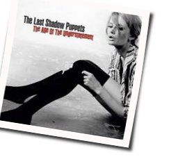 Sweet Dreams Tn Chords by The Last Shadow Puppets