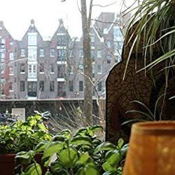 Amsterdam Tab by Lately Lui