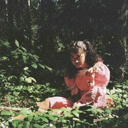 Lost Echoes Chords by Lauren Juzang