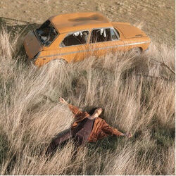 Lax Chords by Lawrence Rothman