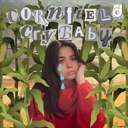 Cornfield Crybaby Chords by Layni H