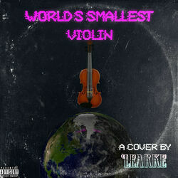 Worlds Smallest Violin Ukulele by Learke