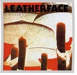 Bowl Of Flies Tab by Leatherface