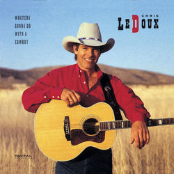 Making Ends Meet by Chris Ledoux