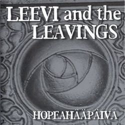 Liikaa Sanoja by Leevi And The Leavings